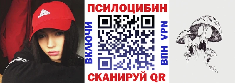 Купить  Емва  Псилоцибиновые грибы мицелий 